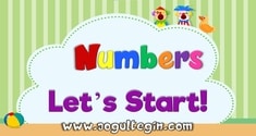 Numbers